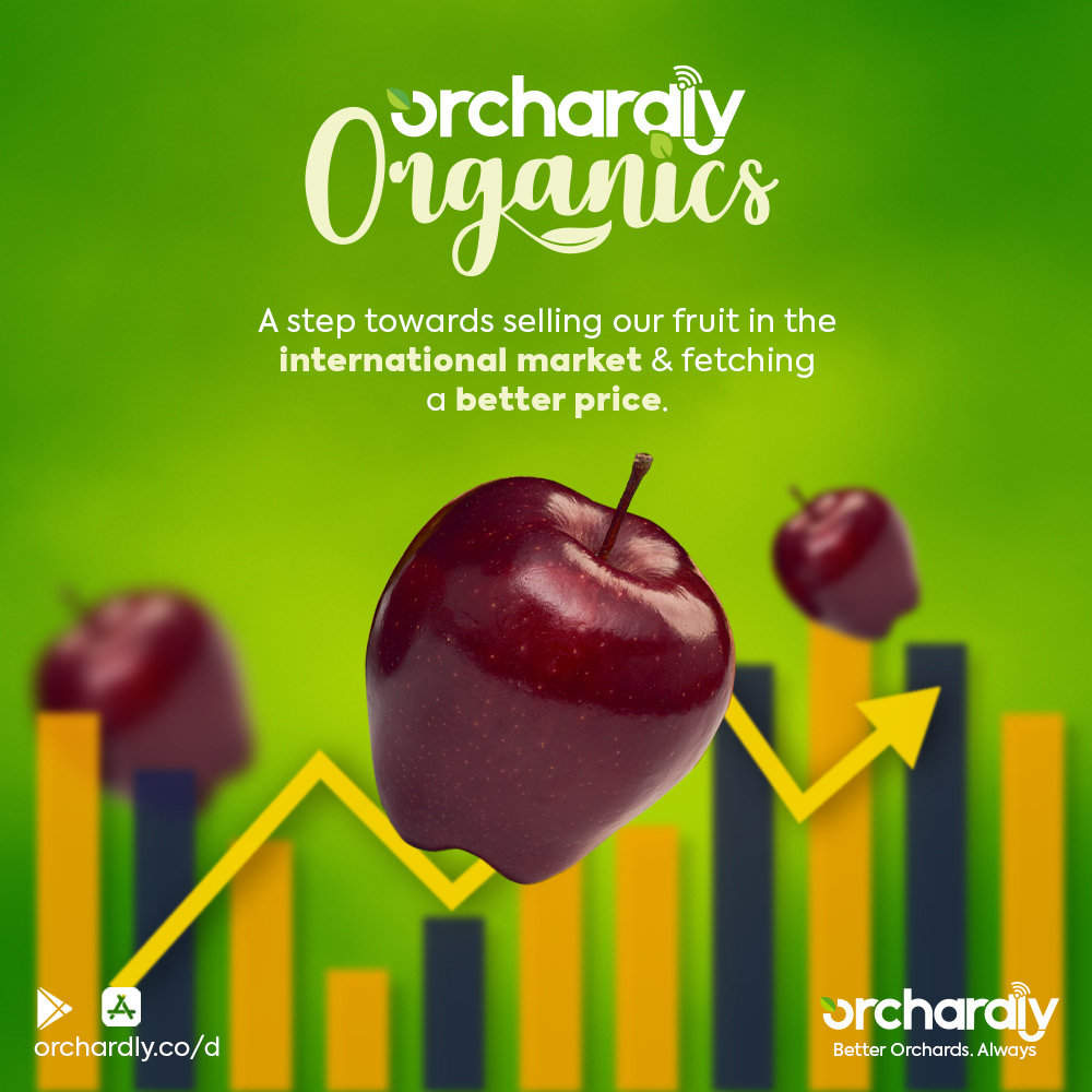 Orchardly educational visual about fruit size and orchard care